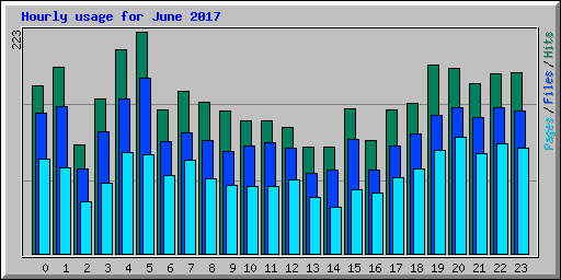 Hourly usage for June 2017